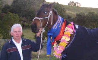Champion: Brian Alexander with his thoroughbred Tussells Mate and his prizes. Champion: Brian Alexander with his thoroughbred Tussells Mate and his prizes.
